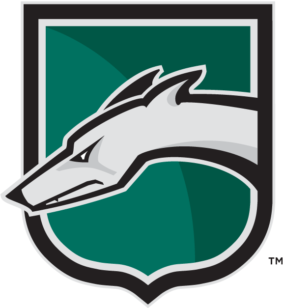 Loyola-Maryland Greyhounds 2002-Pres Alternate Logo v2 diy iron on heat transfer